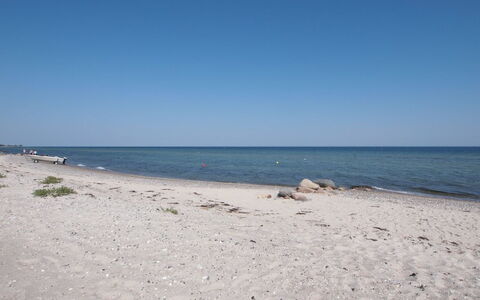 Alvina - 25M from the Sea: Blu, Arbusto, Villetta, Groundcover, Giardino, Estate, Shade, Landscaping, Agriturismo, Eco Hotel