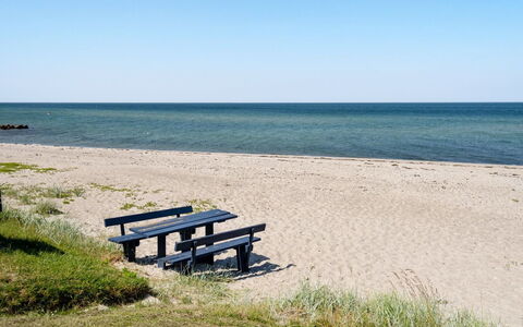 Diertje - 10M from the Sea: Blu, Arbusto, Villetta, Groundcover, Giardino, Estate, Shade, Landscaping, Agriturismo, Eco Hotel