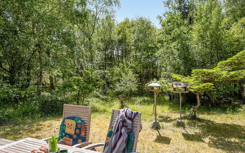 Osa - 150M from the Sea: Albero, Vegetazione, Arbusto, Comunita 'Impianto, Giardino, Primavera, Tronco, Riserva Naturale, Woodland, Foresta