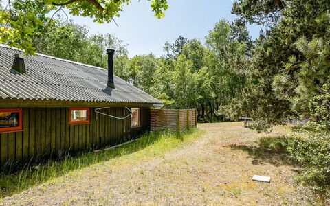 Osa - 150M from the Sea: Albero, Erba, Ambiente Naturale, Natura, Foglia, Legna, Ramo, Paesaggio, Area Rurale