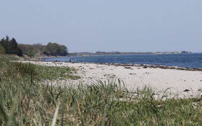 Bridgette - 100M from the Sea