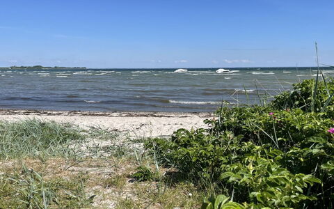 Ely - 300M from the Sea: Blu, Acqua, Corpo D'Acqua, Risorse Idriche, Ambiente Naturale, Costa, Costiera E Morfologie Oceanic, Estate, Mare
