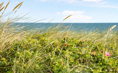 Ebba - 25M from the Sea: Zona Residenziale, Tetto, Sobborgo, Driveway, Estate, Camino