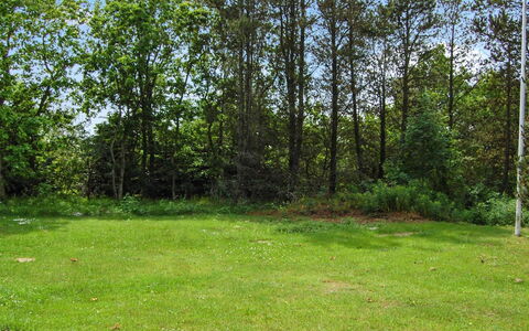 Annlouise - 300M from the Sea: Foglia, Erba, Albero, Verde, Ambiente Naturale, Pascolo, Arbusto, Lotto, Tronco