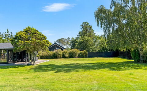 Litle - 600M from the Sea: Verde, Erba, Arbusto, Lotto, Giardino, Prato, Shade, Groundcover, Landscaping, Estate