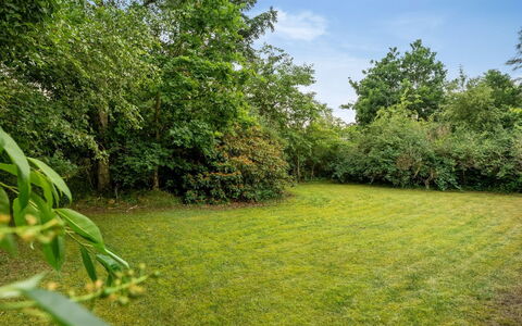Raya - 250M from the Sea: Verde, Erba, Pascolo, Arbusto, Estate, Plain, Lotto, Giardino, Prato