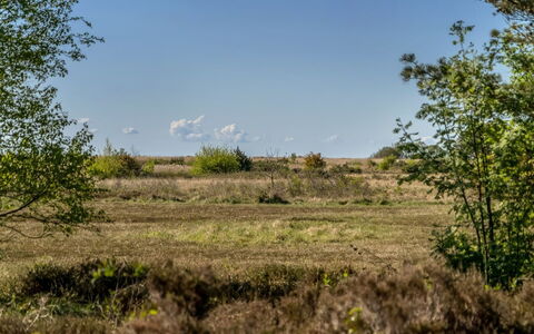 Annestine - 200M from the Sea: Cielo, Erba, Ambiente Naturale, Vegetazione, Pascolo, Paesaggio Naturale, Ecoregione, Arbusto, Comunita 'Impianto, Plain