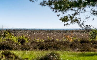 Annestine - 200M from the Sea