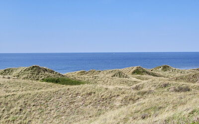 Mafalda - 260M from the Sea