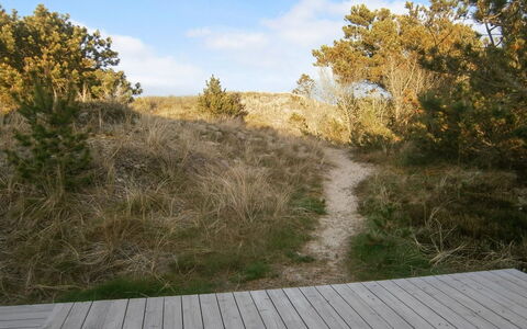 Lewe - 150M from the Sea: Blu, Arbusto, Villetta, Groundcover, Giardino, Estate, Shade, Landscaping, Agriturismo, Eco Hotel