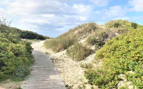 Kustaa - 1Km from the Sea: Erba, Pascolo, Paesaggio, Ecoregione, Plain, Comunita 'Impianto, Lotto, Mobili Da Esterno, Prateria, Shrubland