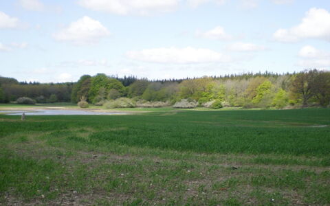 Thia - 4Km to the Fjord: Zona Residenziale, Tetto, Sobborgo, Driveway, Estate, Camino