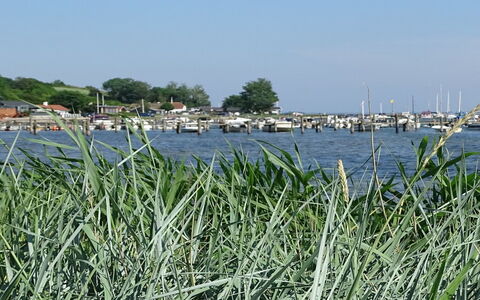 Veselin - 100M from the Sea: Legna, Tetto, Architettura, Casa, Casa, Villetta, Raccordo, Latifoglie, Pendenza, Estate