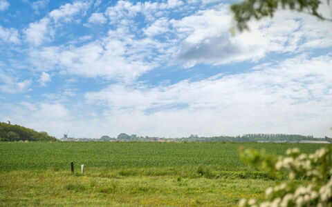 Guthorm: Zona Residenziale, Tetto, Sobborgo, Driveway, Estate, Camino