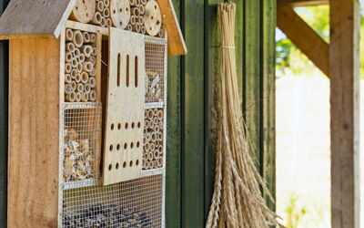 Fridlef - All Inclusive - 200M to the Inlet in T