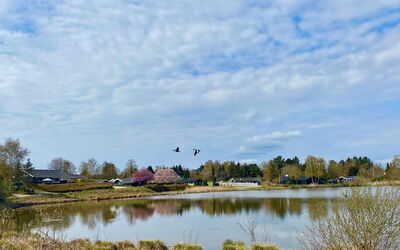 Athisl - 800M from the Sea