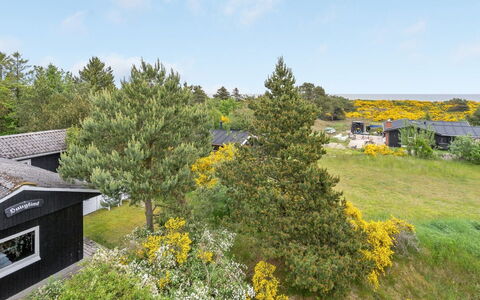 Jaskirt - 125M from the Sea: Verde, Vegetazione, Arbusto, Comunita 'Impianto, Lotto, Groundcover, Giardino, Prato, Landscaping