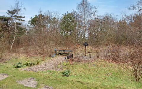 Enni - 100M from the Sea: Erba, Arbusto, Lotto, Comunita 'Impianto, Suolo, Trail, Woodland, Shrubland