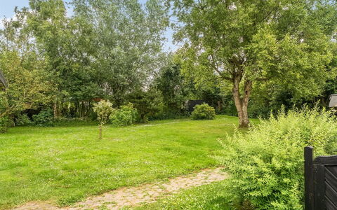 Gia - 1.3Km from the Sea: Albero, Arbusto, Giardino, Lotto, Prato, Primavera, Groundcover, Shade, Woody Impianto