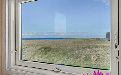 Hedy - 150M from the Sea