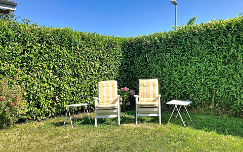 Dorenavant: Arbusto, Hedge, Giardino, Shade, Piantagione, Erba, Sempreverde