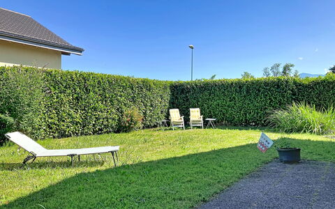 Dorenavant: Verde, Erba, Arbusto, Hedge, Giardino, Shade, Groundcover, Prato, Cortile