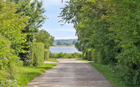 Erikka - 300M to the Fjord: Blu, Arbusto, Villetta, Groundcover, Giardino, Estate, Shade, Landscaping, Agriturismo, Eco Hotel
