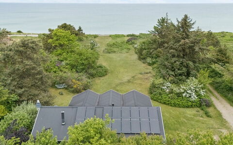 Carmen - 25M from the Sea: Vegetazione, Arbusto, Comunita 'Impianto, Lotto, Groundcover, Villetta, Estate, Giardino, Landscaping
