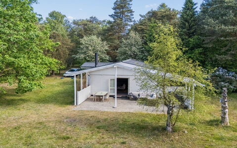 Rietrikki - 1.5Km from the Sea: Albero, Erba, Casa, Casa, Villetta, Lotto, Arbusto, Tetto, Area Rurale
