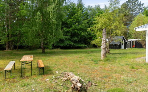 Rietrikki - 1.5Km from the Sea: Albero, Erba, Lotto, Area Rurale, Prato, Tronco, Primavera, Woodland, Giardino