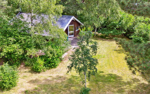 Kerrin - 300M from the Sea: Legna, Villetta, Latifoglie, Plank, Color Legno, Edifici Giardino, Design, Cortile, Log Cabin, Backyard