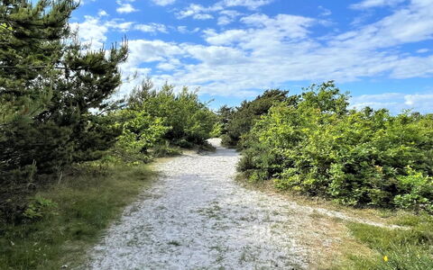 Efka - 175M from the Sea: Tetto, Casa, Lotto, Casa, Villetta, Estate, Edifici Giardino, Shade, Log Cabin, Landscaping