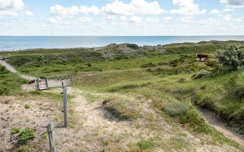Lisbeth - 400M from the Sea: Costruzione, Casa, Legna, Casa, Tetto, Villetta, Zona Residenziale, Arbusto, Architettura