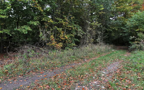 Vojo - 100M from the Sea: Tetto, Casa, Lotto, Casa, Villetta, Estate, Edifici Giardino, Shade, Log Cabin, Landscaping