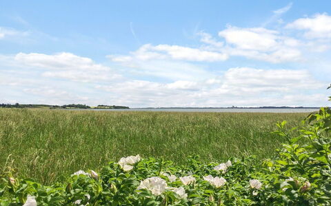 Vojo - 100M from the Sea: Cielo, Blu, Verde, Nube, Fiore, Campo, Estate, Agricoltura, Pascolo