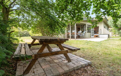 Sini - 300M from the Sea