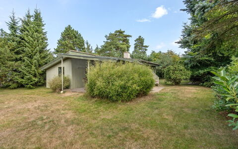 Sini - 300M from the Sea: Tetto, Casa, Casa, Villetta, Porta, Raccordo, Deck, Portico, Plank, Latifoglie