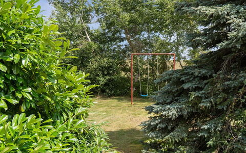 Margit - 10M from the Sea: Foglia, Arbusto, Giardino, Woody Impianto, Shade, Prato, Landscaping, Backyard, Sempreverde