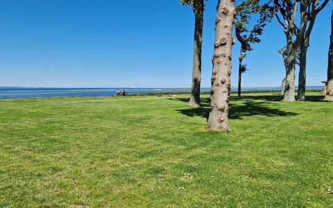 Emira - 50M from the Sea: Erba, Pascolo, Paesaggio, Ecoregione, Plain, Comunita 'Impianto, Lotto, Mobili Da Esterno, Prateria, Shrubland
