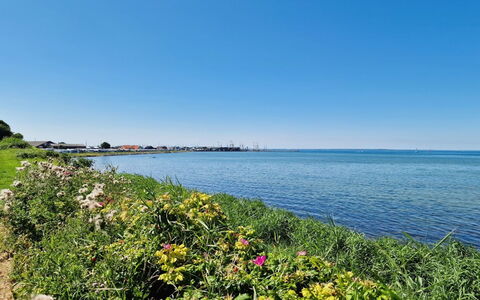 Emira - 50M from the Sea: Erba, Pascolo, Paesaggio, Ecoregione, Plain, Comunita 'Impianto, Lotto, Mobili Da Esterno, Prateria, Shrubland