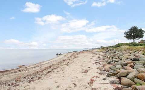 Radojka - 75M from the Sea: Tetto, Casa, Lotto, Casa, Villetta, Estate, Edifici Giardino, Shade, Log Cabin, Landscaping