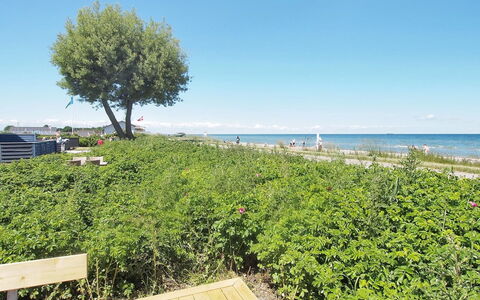 Vincent - 10M from the Sea: Blu, Verde, Estate, Arbusto, Mare, Oceano, Costiera E Morfologie Oceanic, Groundcover, Costa, Riva