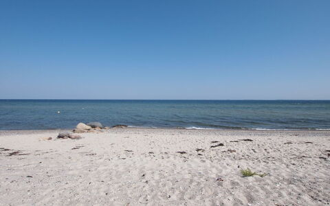 Vincent - 10M from the Sea: Cielo, Blu, Acqua, Spiaggia, Corpo D'Acqua, Risorse Idriche, Orizzonte, Ambiente Naturale, Costa