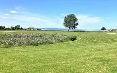 Askan - 200M from the Sea: Zona Residenziale, Tetto, Sobborgo, Driveway, Estate, Camino