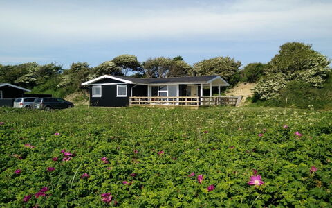 Bertold - 20M from the Sea: Blu, Arbusto, Villetta, Groundcover, Giardino, Estate, Shade, Landscaping, Agriturismo, Eco Hotel