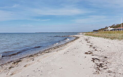 Bertold - 20M from the Sea: Blu, Arbusto, Villetta, Groundcover, Giardino, Estate, Shade, Landscaping, Agriturismo, Eco Hotel