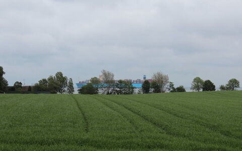 Harre - 300M from the Sea: Erba, Arbusto, Casa, Giardino, Casa, Villetta, Lotto, Prato, Groundcover