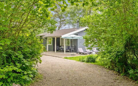 Felisa - 300M from the Sea