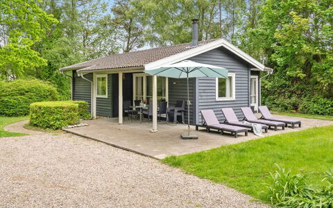 Felisa - 300M from the Sea