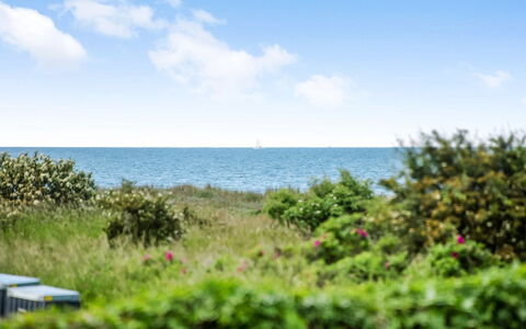 Emin - 100M from the Sea: Cielo, Blu, Giorno, Verde, Orizzonte, Vegetazione, Estate, Mare, Arbusto, Comunita 'Impianto